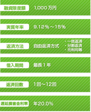 融資限度額　1,000万円　実質年率　9.12％～15％　返済方法　自由返済方式　・一括返済　・分割返済　・元利均等　借入期間　最長1年　返済回数1回～12回　遅延損害金利率 年20%