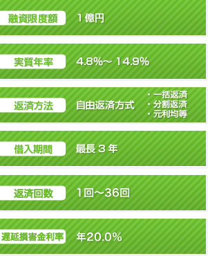 融資限度額　1億円　実質年率　4.8％～14.9％　返済方法　自由返済方式　・一括返済　・分割返済　・元利均等　借入期間　最長3年　返済回数1回～36回　遅延損害金利率 年20%